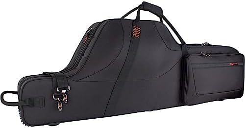 Amazon.com: Casio SC-900P Carry Case for Privia PX-S Keyboards